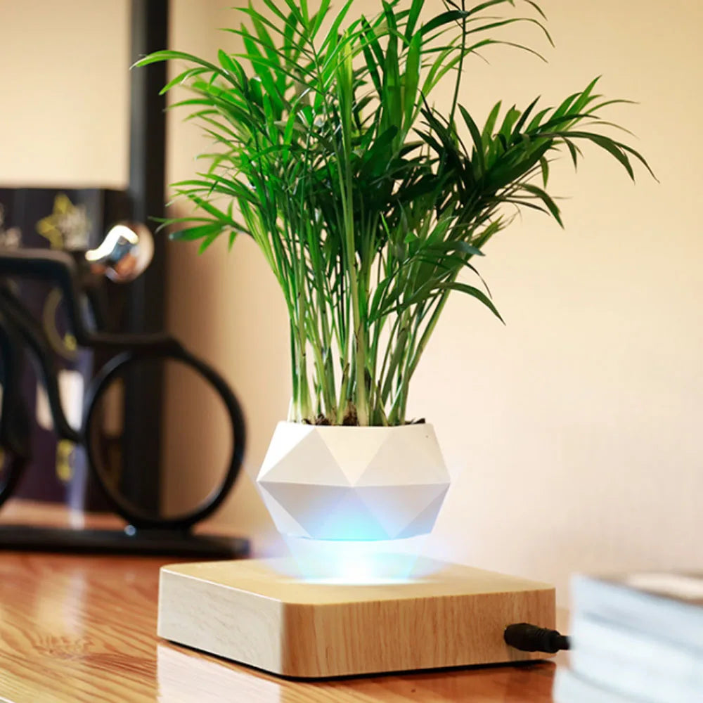 Air Bonsai