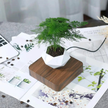 Air Bonsai