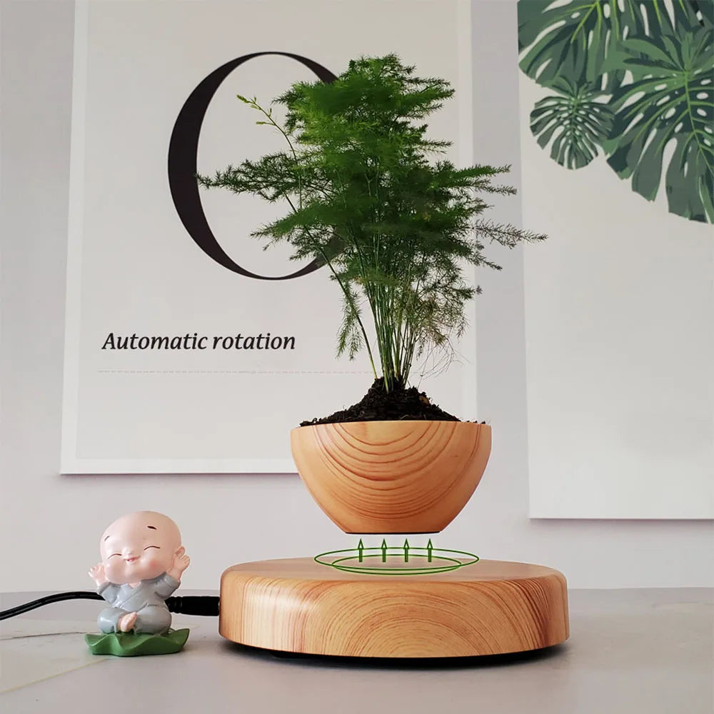 Air Bonsai
