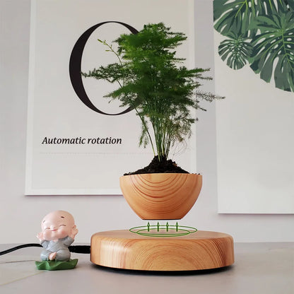 Air Bonsai