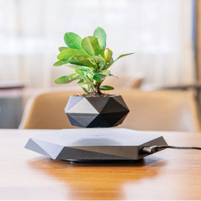 Air Bonsai