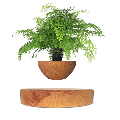 Air Bonsai