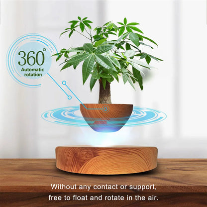 Air Bonsai