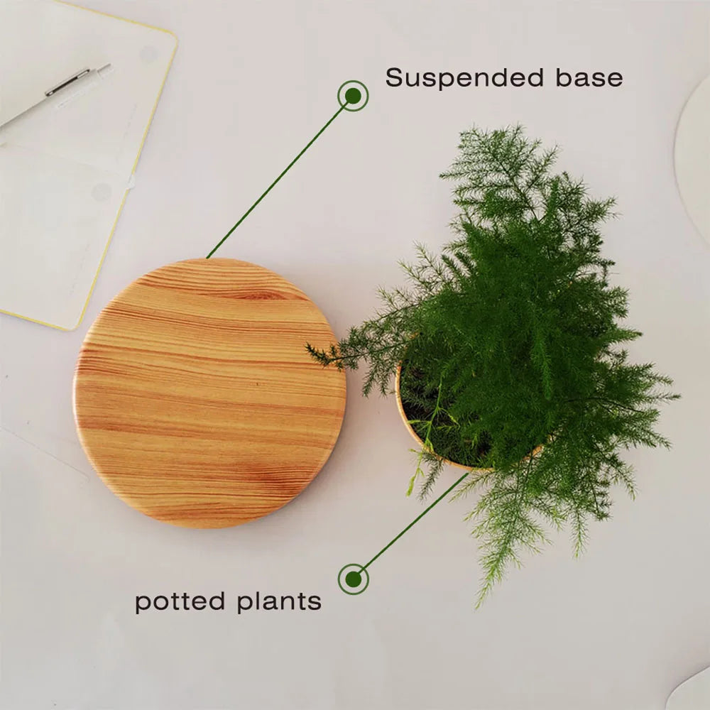 Air Bonsai