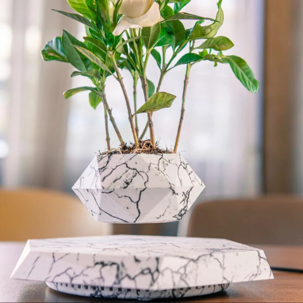 Air Bonsai
