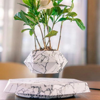 Air Bonsai