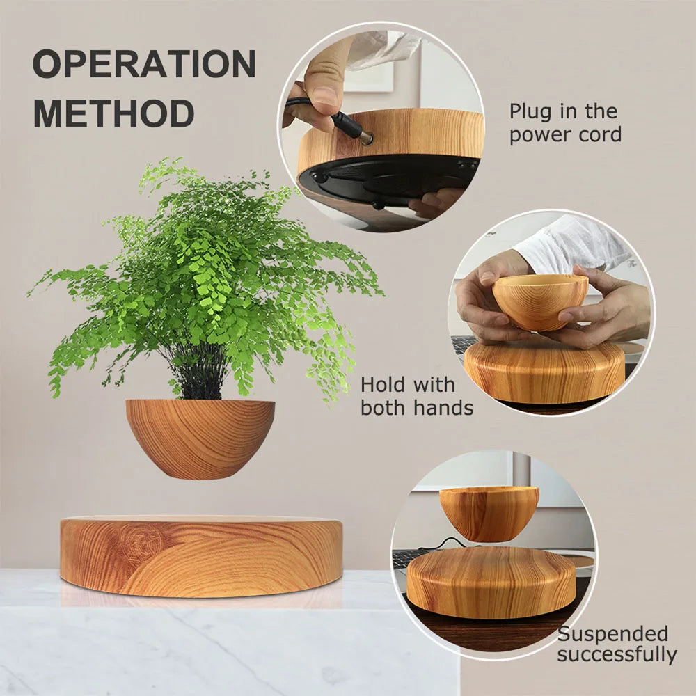 Air Bonsai
