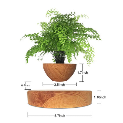 Air Bonsai
